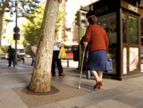 Tree Well Sign 的图像结果