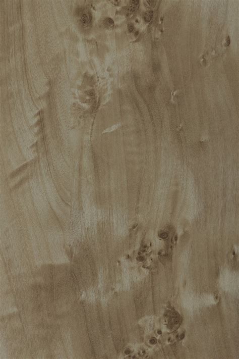 8595 BURL VENEER || Safedecor Pvt. Ltd.