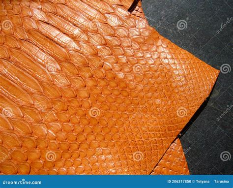 Image result for Red Python Snake Image