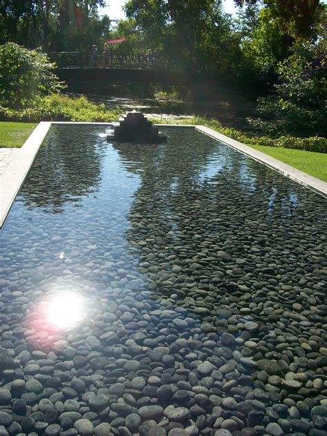 Image result for DIY Reflection Pool