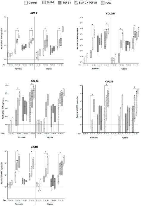 Hypoxia Is a Critical Parameter for Chondrogenic Differentiation of ...
