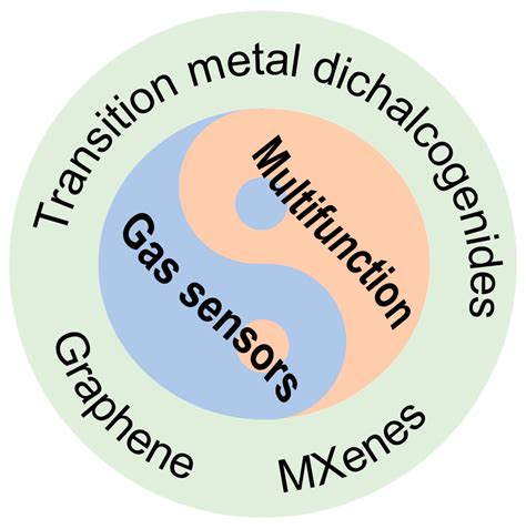 Recent Progress in Multifunctional Gas Sensors Based on 2D Materials