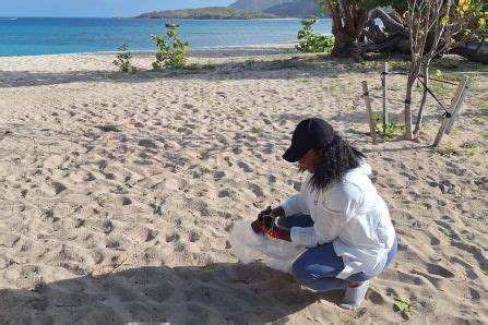 Beach Sampling Activity- Demonstration Site (Long Bay Beef Island, The ...