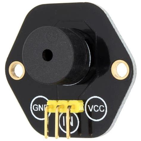 LandaTianrui LDTR-RM021 Passive Buzzer Module for Arduino (Black ...