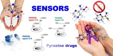 Sensors to the Diagnostic Assessment of Anticancer and Antimicrobial ...