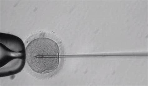 Changing our DNA: US scientists create genetically modified human ...