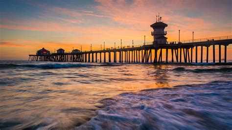 Zankou Chicken | Rotisserie Chicken, Shawerma, Tarna™, and our ...