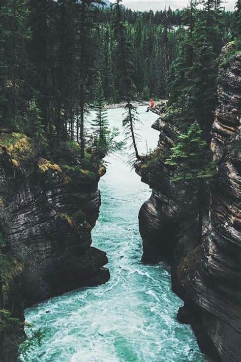 Rei a life outdoors is a life well lived rei co op – Artofit