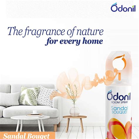 Buy DABUR ODONIL ROOM SPRAY SANDAL BOUQUET 240ML Online & Get Upto 60% ...