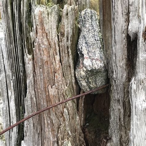 Image result for Rust Landscape