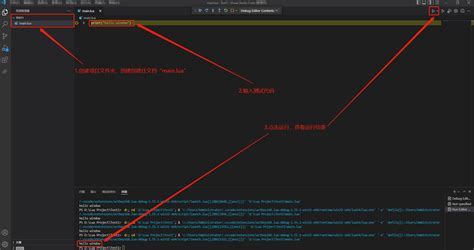 Visual Studio Code Lua Run 的图像结果