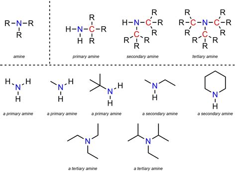 Image result for Examples of Common Functional Groups