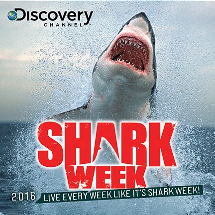 Image result for Shark Week 2016