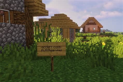 Image result for Code Plus Secret Dans Minecraft