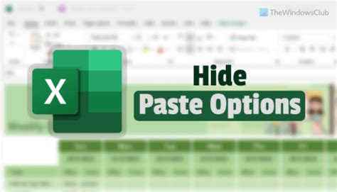 Image result for Excel Paste Options Icon