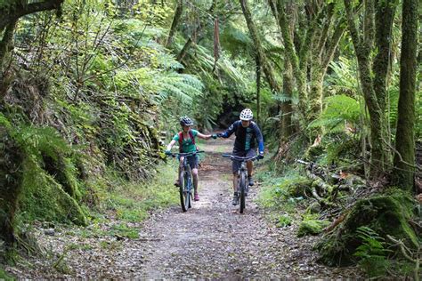 Ride the Central North Island Timber Trail 2022 - Viator