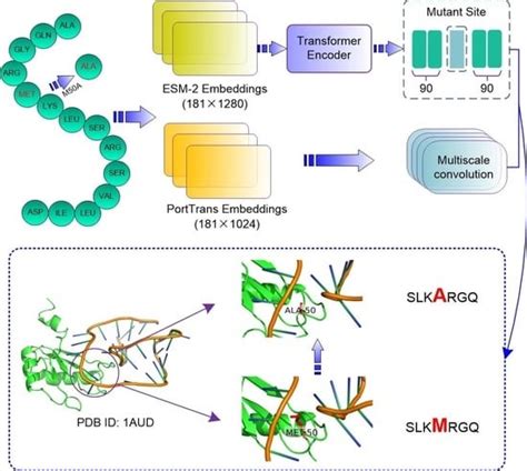 PRITrans: A Transformer-Based Approach for the Prediction of the ...