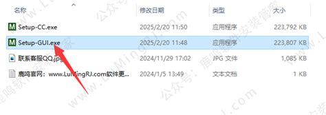 Mega Software Installation 的图像结果