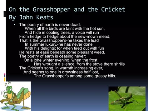 The grasshopper and the cricket.ppt