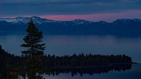Download wallpaper 2560x1440 lake, trees, evening, south lake tahoe ...