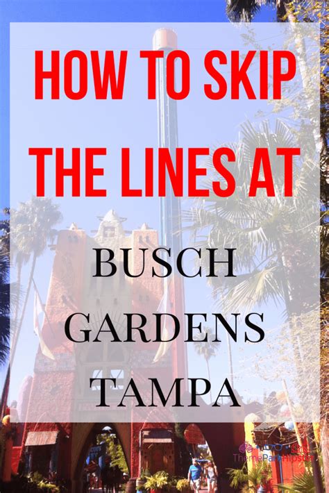 Avoid the busch gardens wait times with quick queue is it worth it in ...