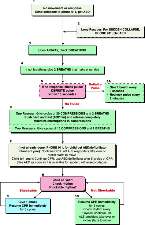 Image result for AHA Pediatric BLS Algorithm