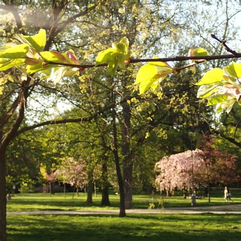 PARK LUŽÁNKY (2025) All You Need to Know BEFORE You Go (with Photos ...