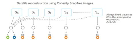 Backup Assistance: Please Go to Gate Cohesity Powered by SnapTree