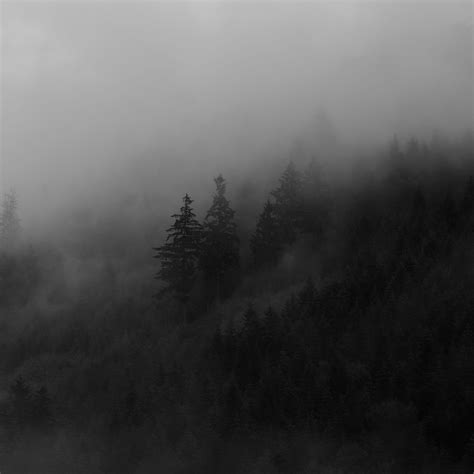 Download wallpaper 2780x2780 spruce, trees, fog, forest, smoke ipad air ...