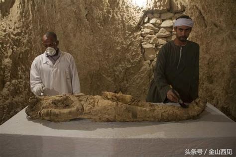埃及新发现7座古墓葬 出土猫和圣甲虫木乃伊_动物