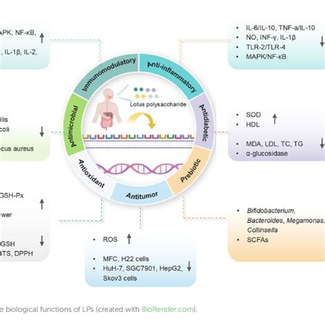 LPS Algorithm 的图像结果