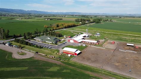 Horse Herd | Eagle Mount Bozeman