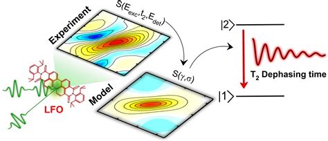 Dephasing Processes in the Molecular Dye Lumogen-F Orange Characterized ...
