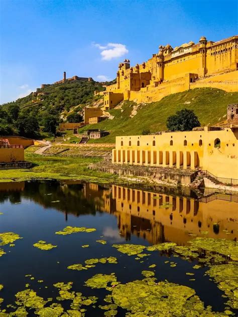 thumbail image (1) | Navbharat Times