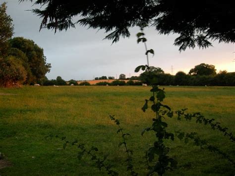 MOATE HOUSE (Naas) - B&B Reviews & Photos - Tripadvisor