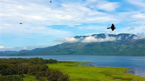 Lago de Yojoa: Honduras' hidden oasis - Lonely Planet