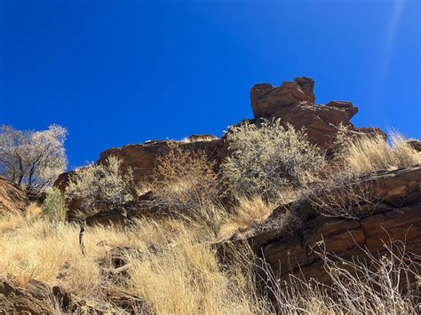 KAPPS MOUNTAIN LODGE & VENUE (Kappsfarm) - Hotel Reviews & Photos ...