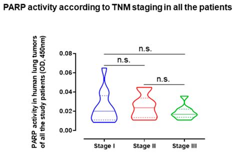 Increased PARP Activity and DNA Damage in NSCLC Patients: The Influence ...