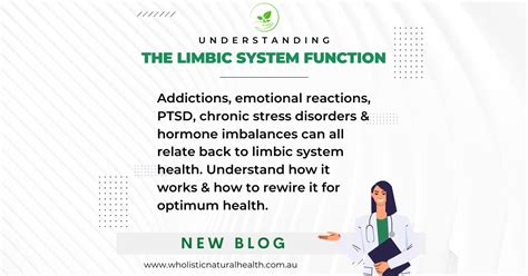 Image result for Limbic System Function Animation