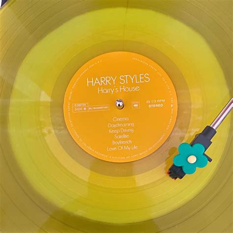 🌼 Harry Styles Vinyl Record