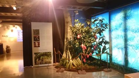 House of Laderach (Bilten) - 2021 What to Know Before You Go (with ...