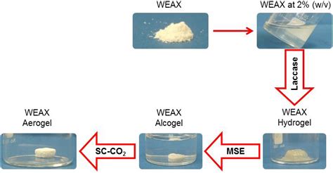 Water Extractable Arabinoxylan Aerogels Prepared by Supercritical CO2 ...