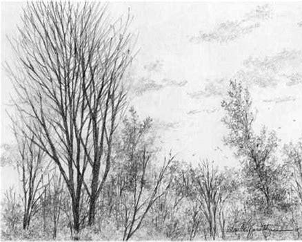 tutorial how to draw a person face girl easy