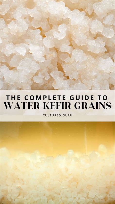 How to grow water kefir grains – Artofit