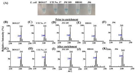 Detection of Escherichia coli by Combining an Affinity-Based Method ...