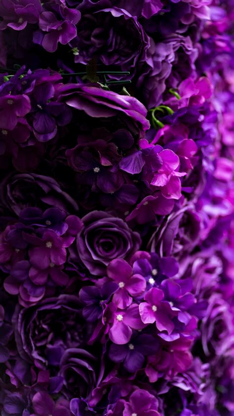 Purple Color Flower Wallpaper