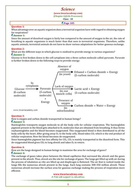 Class 10 Science Chapter 6 All Processes 的图像结果