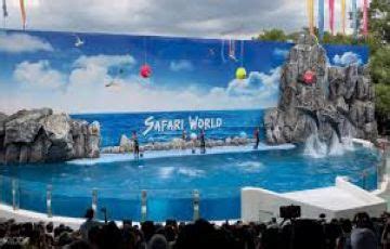 5 Days 4 Nights Pattaya City and Bangkok Lake Trip Package | Pattaya ...