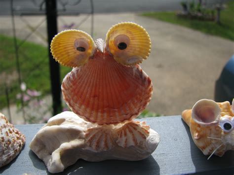 Image result for Shells Do It Yourself
