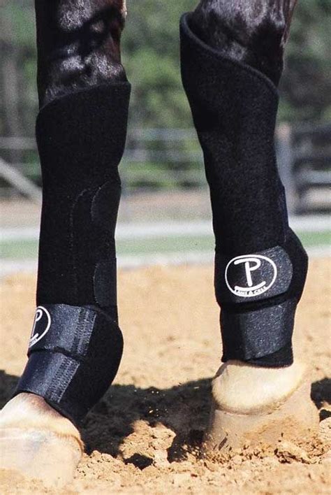 Reining Collection 的图像结果